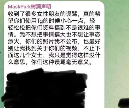 maskpark事件,科技巨头隐私争议背后的真相