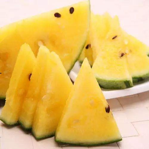 网红黑料是什么意思 吃瓜网官网 今日吃瓜-热心的朝阳群众吃瓜,吃瓜网带你领略今日吃瓜风云