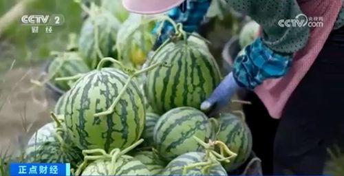 52爆料吃瓜网 吃瓜视频每日大赛,每日大赛精彩瞬间大盘点