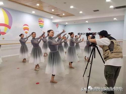 独家爆料艺术学校极品舞蹈生,揭秘艺术学校极品舞蹈生的传奇故事